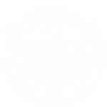 Flight school Pinzgau Logo